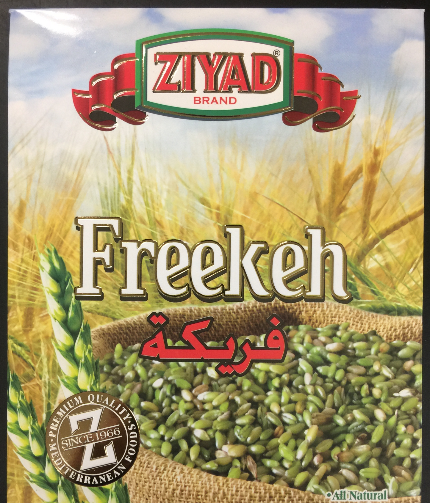 Ziyad Freekeh