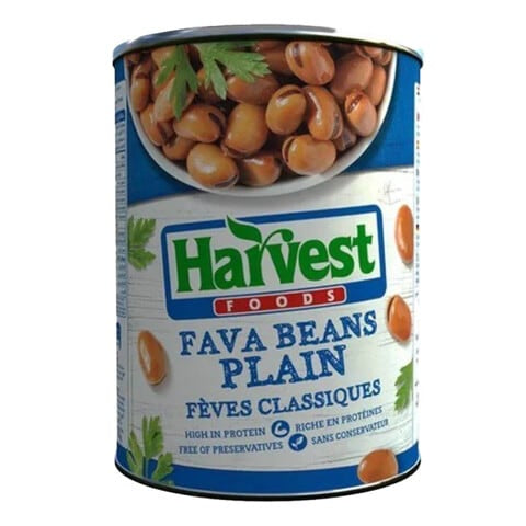 Harvest Plain Fava Beans - 400 gram