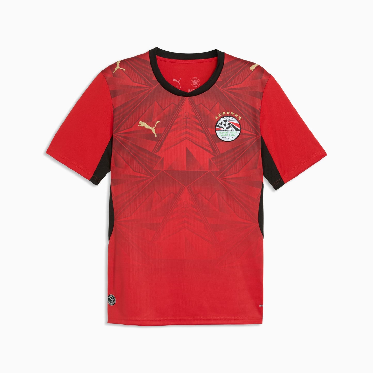 Puma Egypt Home and Away Soccer Jersey World Cup 2026